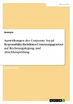Auswirkungen des Corporate Social Responsibility-Richtlinien-Umsetzungsgesetzes auf Rechnungslegung und Abschlussprüfung