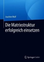 Die Matrixstruktur erfolgreich einsetzen