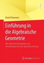 Einfuhrung in Die Algebraische Geometrie