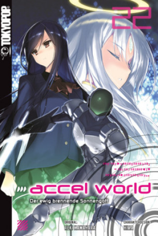 Accel World - Novel 22