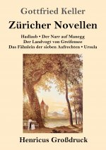 Zuricher Novellen (Grossdruck)