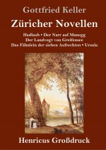 Zuricher Novellen (Grossdruck)