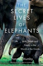 Secret Lives of Elephants