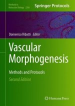 Vascular Morphogenesis