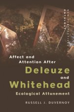 Affect and Attention After Deleuze and Whitehead