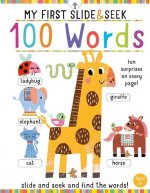 My First Slide and Seek: 100 Words