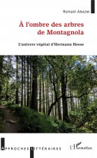 ? l'ombre des arbres de Montagnola