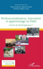 Professionnalisation, innovation et apprentissage en Ha?ti