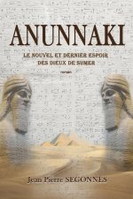 Anunnaki: le nouvel et dernier espoir des dieux de Sumer