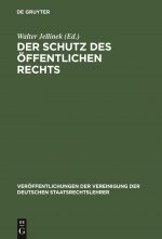 Der Schutz Des OEffentlichen Rechts