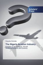 Nigeria Aviation Industry