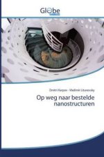 Op weg naar bestelde nanostructuren