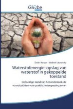 Waterstofenergie: opslag van waterstof in gekoppelde toestand