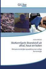 BioKernSprit: Brandstof uit afval, hout en kolen