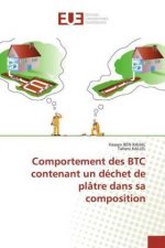 Comportement des BTC contenant un dechet de platre dans sa composition