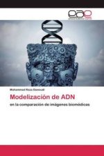 Modelización de ADN