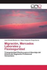 Migracion, Mercados Laborales y Flexiseguridad
