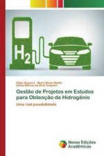 Gestao de Projetos em Estudos para Obtencao de Hidrogenio