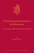 ? l'Ombre Des Grandes Puissances de Mésopotamie: Une Histoire Du Sūhu ? l'Époque Néo-Assyrienne