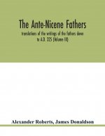 Ante-Nicene fathers. translations of the writings of the fathers down to A.D. 325 (Volume III)
