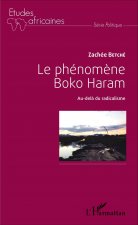 Le phénom?ne Boko Haram