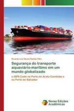 Seguranca do transporte aquaviario-maritimo em um mundo globalizado