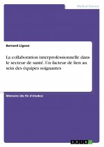 La collaboration interprofessionnelle dans le secteur de santé. Un facteur de lien au sein des équipes soignantes