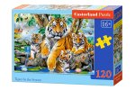 Puzzle 120 Tygrysy przy potoku B-13517