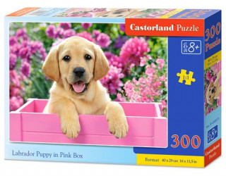 Puzzle 300 Labrador puppy in pink box
