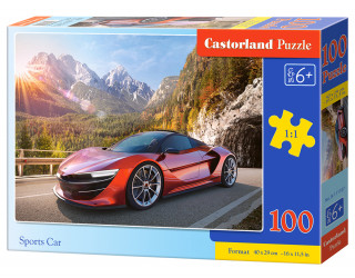 Puzzle 100 Sportowy samochód B-111107