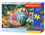 Puzzle 100 Sekretny szlak B-111114