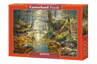 Puzzle 2000 Wspomnienie z jesiennego lasu C-200757-2