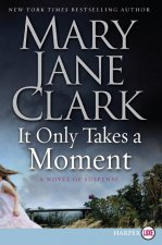 It Only Takes a Moment: A Novel of Suspense