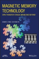 Magnetic Memory Technology
