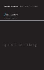 Jouissance: A Lacanian Concept