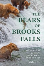 Bears of Brooks Falls