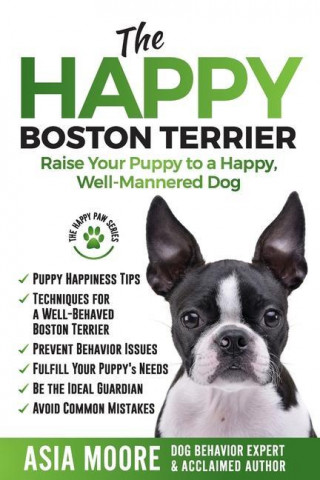 Happy Boston Terrier