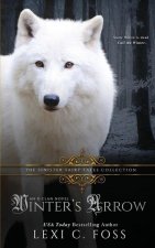 Winter's Arrow: A Dark Snow White Retelling