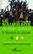 Le naufrage de l'islam politique ? l'épreuve du pouvoir