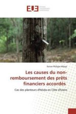 Les causes du non-remboursement des prets financiers accordes