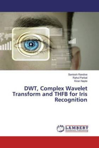 DWT, Complex Wavelet Transform and THFB for Iris Recognition