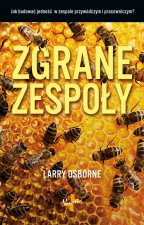 Zgrane zespoły jak budować jedność w zespole przywódczym i pracowniczym