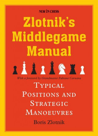 Zlotniks Middlegame Manual