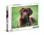 Puzzle 500 High Quality Collection Chocolate Puppy