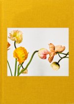 Michel Comte: Garden of Beauty