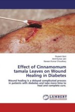 Effect of Cinnamomum tamala Leaves on Wound Healing in Diabetes