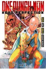 0ne Punch Man : Hero Perfection