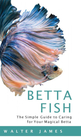 Betta Fish (Twarda)