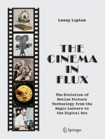 Cinema in Flux
