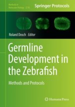 Germline Development in the Zebrafish